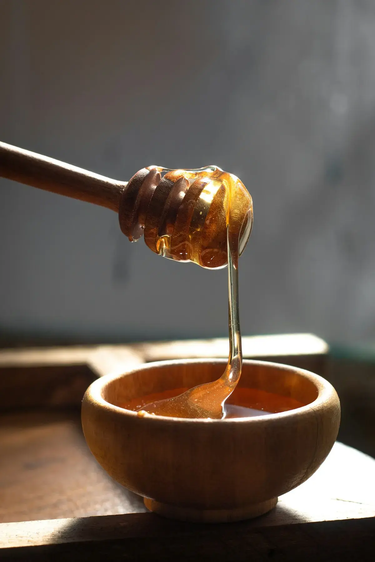 عسل القيقب، غابات عجلون