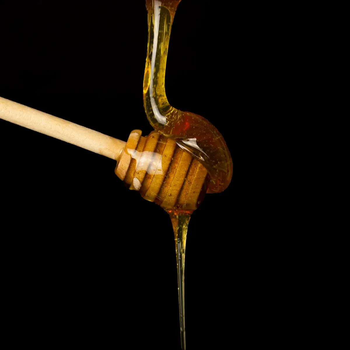 عسل سدر دوعني، حضرموت
